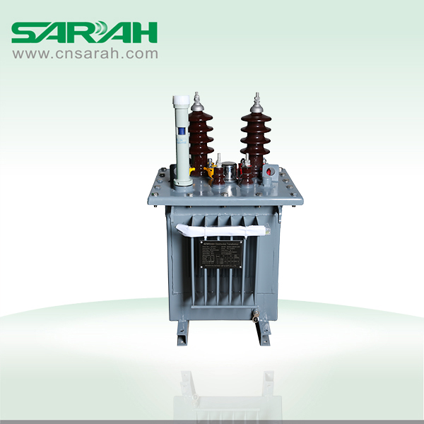 Single Phase 6-11KV 10KVA